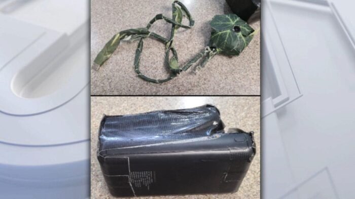 Secret Flowerbed Camera Uncovered, Residents on Edge in LA County-FInd Out Details